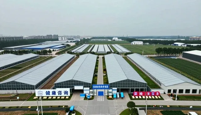 慢病随访满足复杂环境应用需求